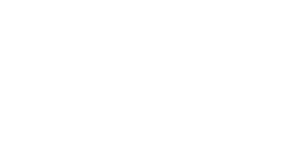 The Mayorettes